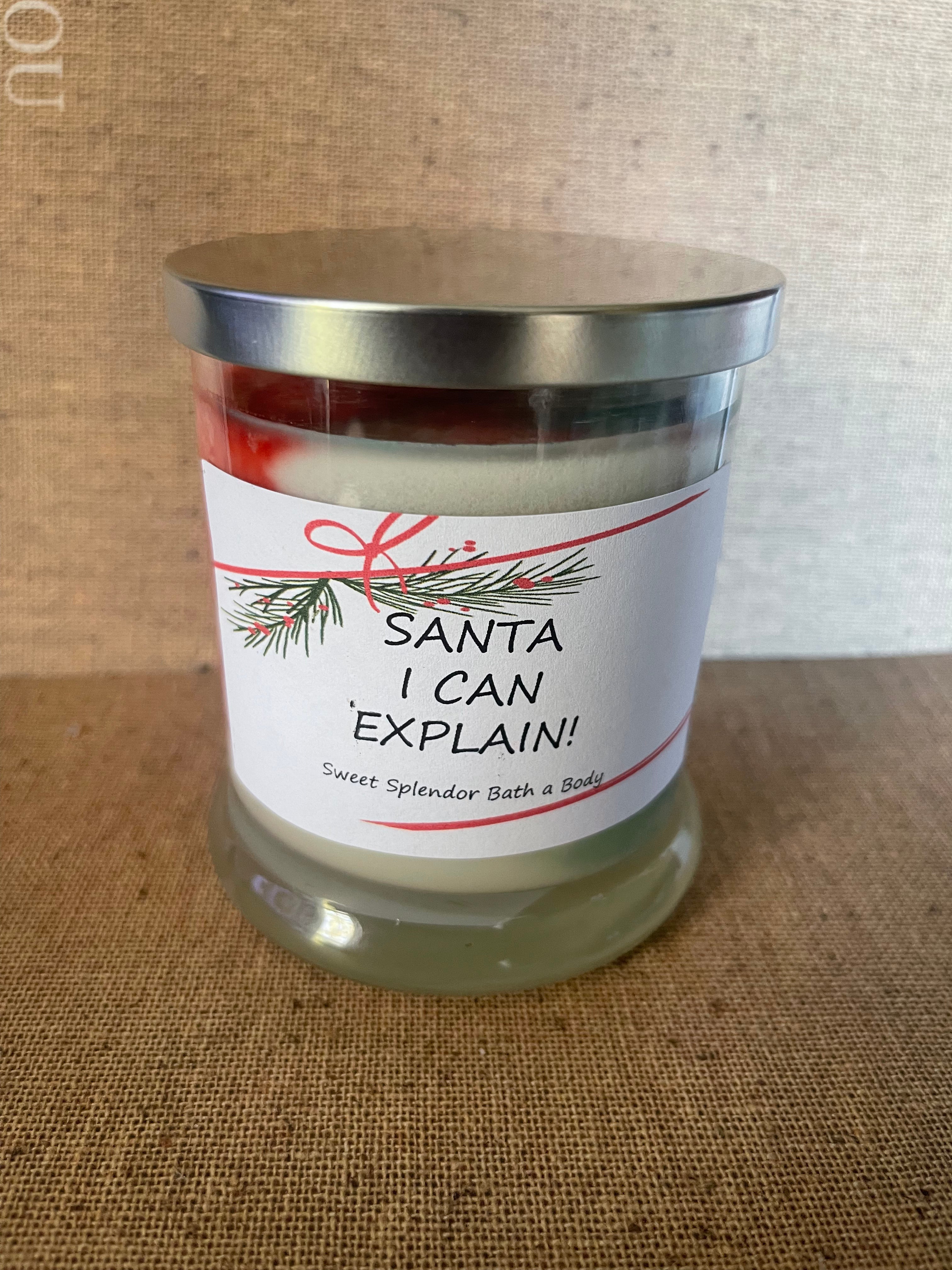 Santa I can explain!!